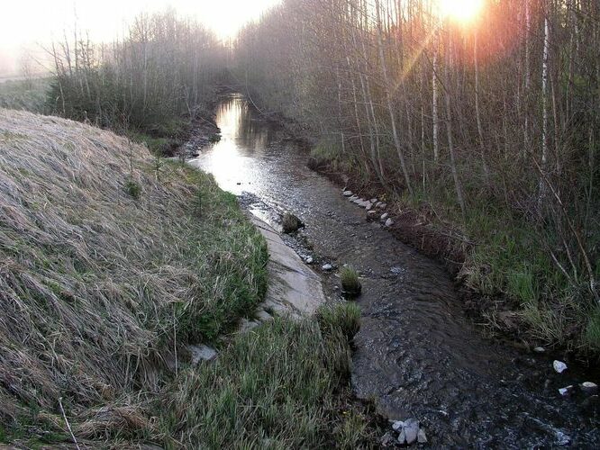 Maakond: Pärnumaa Veekogu nimi: Külge oja Pildistamise aeg: 26. aprill 2008 Pildistaja: H. Timm Pildistamise koht: enne Kaerasaadu suuet Asimuut: