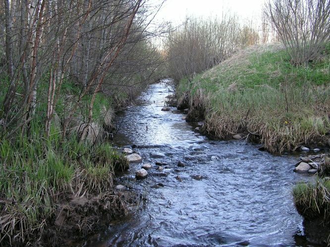 Maakond: Pärnumaa Veekogu nimi: Külge oja Pildistamise aeg: 26. aprill 2008 Pildistaja: H. Timm Pildistamise koht: enne Kaerasaadu suuet Asimuut: