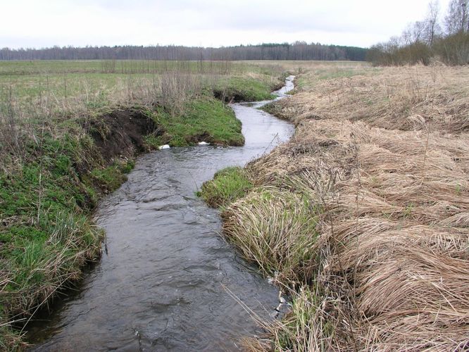 Maakond: Jõgevamaa Veekogu nimi: Kullavere jõgi Pildistamise aeg: 24. aprill 2007 Pildistaja: H. Timm Pildistamise koht: Tõikvere Asimuut: