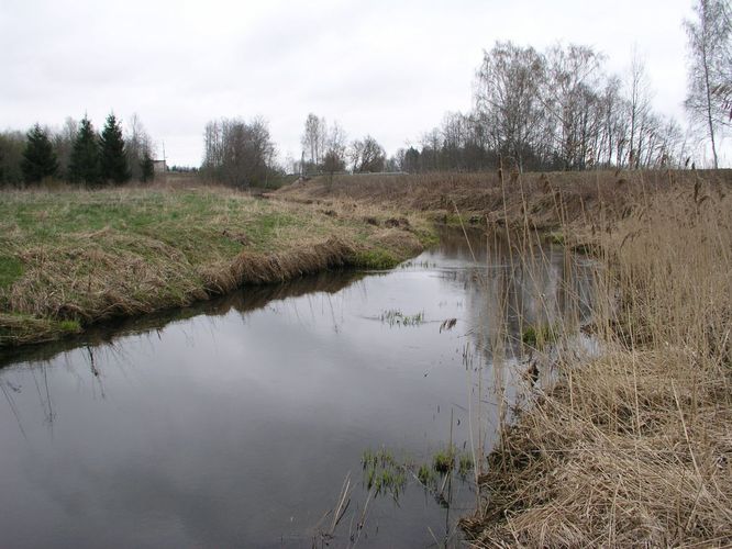 Maakond: Jõgevamaa Veekogu nimi: Kullavere jõgi Pildistamise aeg: 24. aprill 2007 Pildistaja: H. Timm Pildistamise koht: Voore Asimuut: