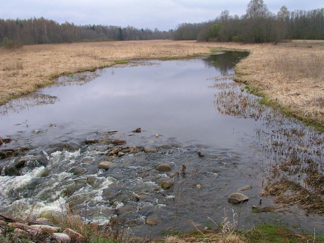 Maakond: Jõgevamaa Veekogu nimi: Kullavere jõgi Pildistamise aeg: 24. aprill 2007 Pildistaja: H. Timm Pildistamise koht: Veia sillalt Asimuut: