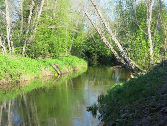 Maakond: Jõgevamaa Veekogu nimi: Kullavere jõgi Pildistamise aeg: 14. mai 2013 Pildistaja: H. Timm Pildistamise koht: Jõhvi - Tartu mnt. silla alt Asimuut: