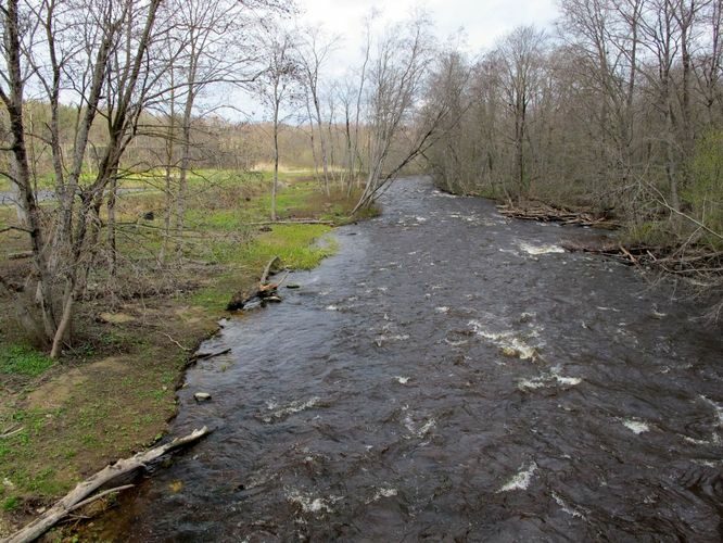 Maakond: Lääne-Virumaa Veekogu nimi: Kunda jõgi Pildistamise aeg: 2. mai 2010 Pildistaja: H. Timm Pildistamise koht: Lontova Asimuut: