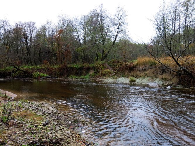 Maakond: Lääne-Virumaa Veekogu nimi: Kunda jõgi Pildistamise aeg: 18. oktoober 2013 Pildistaja: H. Timm Pildistamise koht: Lontova Asimuut: