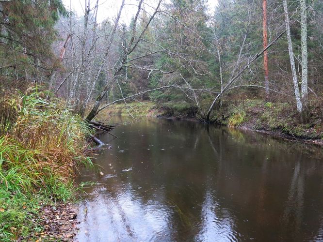 Maakond: Lääne-Virumaa Veekogu nimi: Kunda jõgi Pildistamise aeg: 18. oktoober 2013 Pildistaja: H. Timm Pildistamise koht: Sae sild Asimuut: