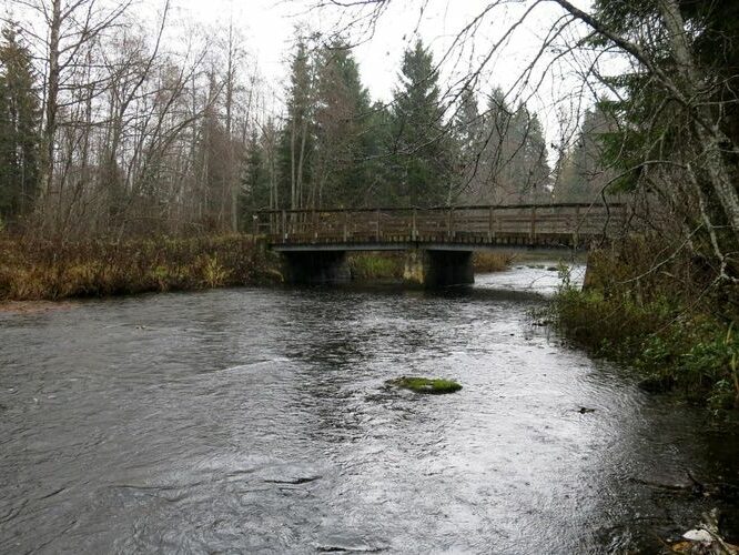 Maakond: Lääne-Virumaa Veekogu nimi: Kunda jõgi Pildistamise aeg: 18. oktoober 2013 Pildistaja: H. Timm Pildistamise koht: Mädaoja Asimuut: