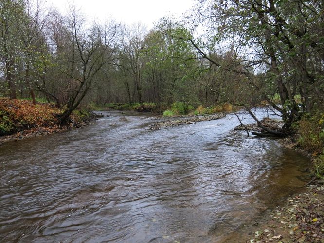 Maakond: Lääne-Virumaa Veekogu nimi: Kunda jõgi Pildistamise aeg: 18. oktoober 2013 Pildistaja: H. Timm Pildistamise koht: Lontova Asimuut: