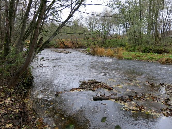 Maakond: Lääne-Virumaa Veekogu nimi: Kunda jõgi Pildistamise aeg: 18. oktoober 2013 Pildistaja: H. Timm Pildistamise koht: Lontova Asimuut: