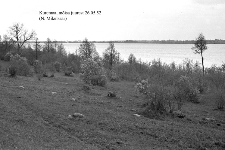 Maakond: Jõgevamaa Veekogu nimi: Kuremaa järv Pildistamise aeg: 26. mai 1952 Pildistaja: N. Mikelsaar Pildistamise koht: m Asimuut: