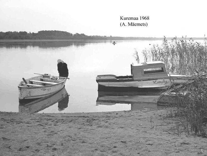 Maakond: Jõgevamaa Veekogu nimi: Kuremaa järv Pildistamise aeg: 1968 Pildistaja: A. Mäemets Pildistamise koht: teadmata Asimuut: