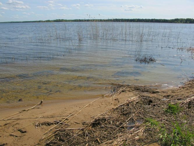 Maakond: Jõgevamaa Veekogu nimi: Kuremaa järv Pildistamise aeg: 20. mai 2011 Pildistaja: H. Timm Pildistamise koht: teadmata Asimuut: