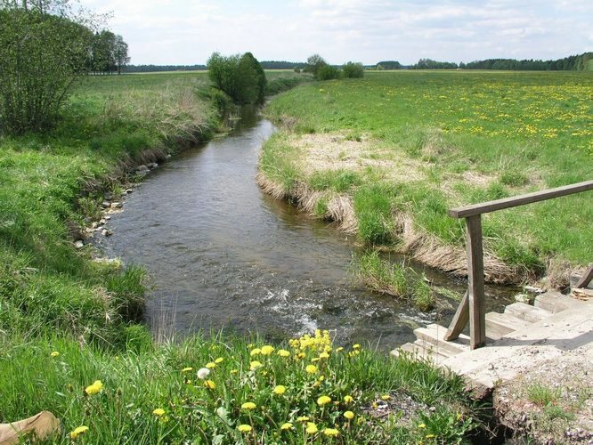 Maakond: Raplamaa Veekogu nimi: Kuusiku jõgi Pildistamise aeg: 22. mai 2008 Pildistaja: H. Timm Pildistamise koht: Kehtna Asimuut: