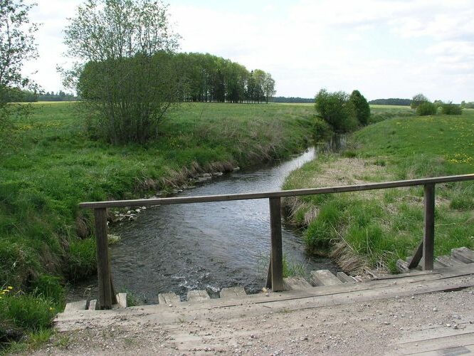 Maakond: Raplamaa Veekogu nimi: Kuusiku jõgi Pildistamise aeg: 22. mai 2008 Pildistaja: H. Timm Pildistamise koht: Kehtna Asimuut: