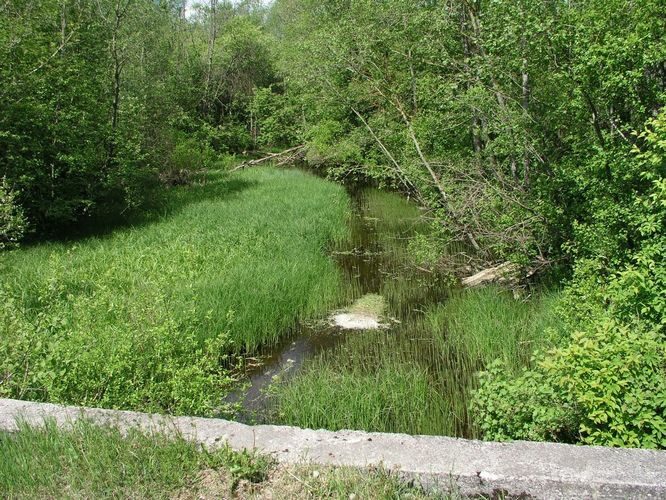 Maakond: Raplamaa Veekogu nimi: Kuusiku jõgi Pildistamise aeg: 22. mai 2008 Pildistaja: H. Timm Pildistamise koht: Kalbu Asimuut: