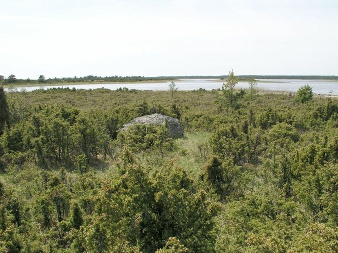 Maakond: Saaremaa Veekogu nimi: Läänemeri Pildistamise aeg: mai 2003 Pildistaja: H. Timm Pildistamise koht: Tepu laht Asimuut: