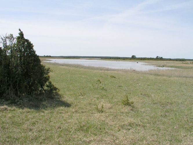 Maakond: Saaremaa Veekogu nimi: Läänemeri Pildistamise aeg: mai 2003 Pildistaja: H. Timm Pildistamise koht: Tepu laht Asimuut: