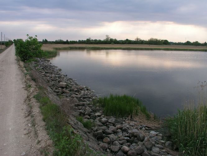 Maakond: Läänemaa Veekogu nimi: Läänemeri Pildistamise aeg: 5. juuni 2003 Pildistaja: H. Timm Pildistamise koht: Mõisalaht Asimuut: