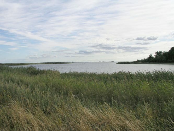 Maakond: Saaremaa Veekogu nimi: Läänemeri Pildistamise aeg: august 2003 Pildistaja: H. Timm Pildistamise koht: Kübassaare Asimuut: