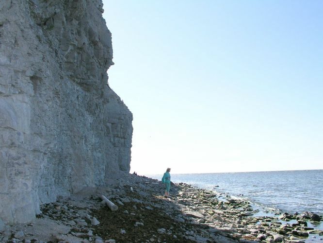 Maakond: Saaremaa Veekogu nimi: Läänemeri Pildistamise aeg: august 2003 Pildistaja: H. Timm Pildistamise koht: Panga Asimuut: