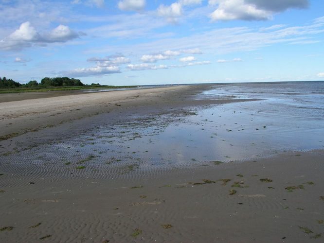 Maakond: Saaremaa Veekogu nimi: Läänemeri Pildistamise aeg: august 2003 Pildistaja: H. Timm Pildistamise koht: Sõrve, Kotkanina Asimuut: