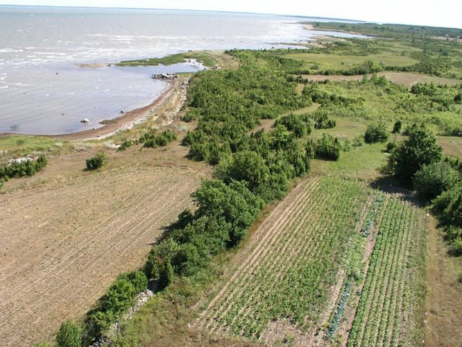 Maakond: Saaremaa Veekogu nimi: Läänemeri Pildistamise aeg: august 2003 Pildistaja: H. Timm Pildistamise koht: Vahtraste majakast alla Asimuut: