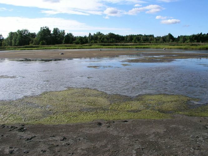 Maakond: Saaremaa Veekogu nimi: Läänemeri Pildistamise aeg: august 2003 Pildistaja: H. Timm Pildistamise koht: Sõrve, Kotkanina Asimuut: