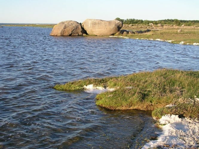 Maakond: Läänemaa Veekogu nimi: Läänemeri Pildistamise aeg: august 2005 Pildistaja: H. Timm Pildistamise koht: Matsalu laht Asimuut: