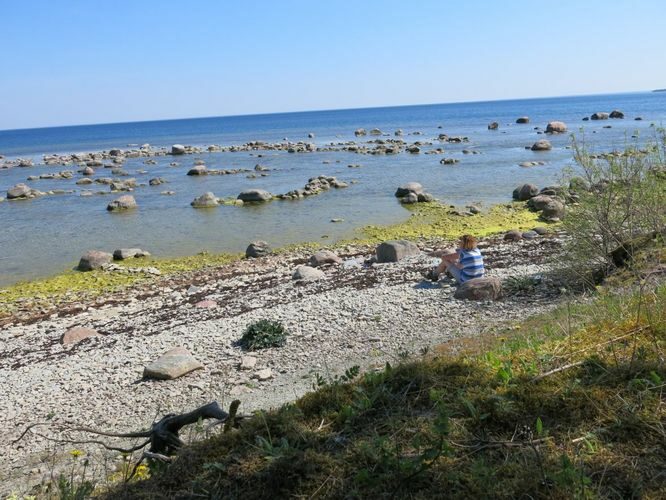 Maakond: Saaremaa Veekogu nimi: Läänemeri Pildistamise aeg: 23. mai 2014 Pildistaja: H. Timm Pildistamise koht: Panga rand Asimuut: