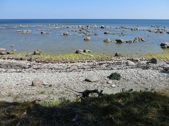 Maakond: Saaremaa Veekogu nimi: Läänemeri Pildistamise aeg: 23. mai 2014 Pildistaja: H. Timm Pildistamise koht: Panga rand Asimuut: