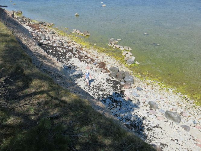 Maakond: Saaremaa Veekogu nimi: Läänemeri Pildistamise aeg: 23. mai 2014 Pildistaja: H. Timm Pildistamise koht: Panga rand Asimuut: