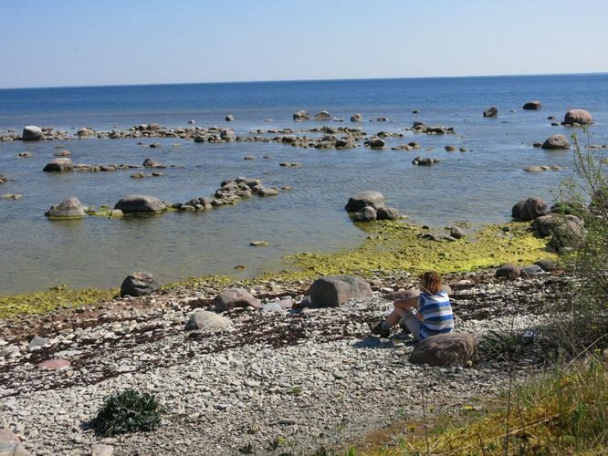 Maakond: Saaremaa Veekogu nimi: Läänemeri Pildistamise aeg: 23. mai 2014 Pildistaja: H. Timm Pildistamise koht: Panga rand Asimuut: