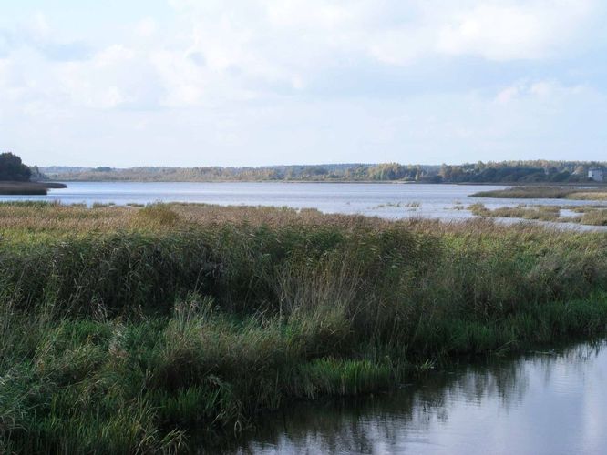 Maakond: Jõgevamaa Veekogu nimi: Lahepera järv Pildistamise aeg: 7. oktoober 2004 Pildistaja: H. Timm Pildistamise koht: teadmata Asimuut: