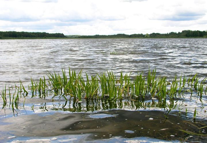 Maakond: Jõgevamaa Veekogu nimi: Lahepera järv Pildistamise aeg: 20. juuli 2007 Pildistaja: H. Timm Pildistamise koht: teadmata Asimuut: