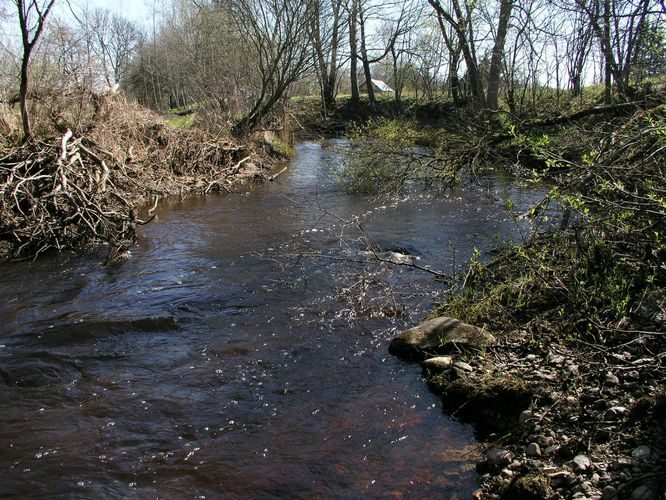 Maakond: Pärnumaa Veekogu nimi: Lähkma jõgi Pildistamise aeg: 26. aprill 2008 Pildistaja: H. Timm Pildistamise koht: alamjooks Asimuut: