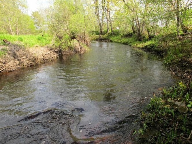 Maakond: Pärnumaa Veekogu nimi: Lähkma jõgi Pildistamise aeg: 15. mai 2012 Pildistaja: H. Timm Pildistamise koht: alamjooks Asimuut: