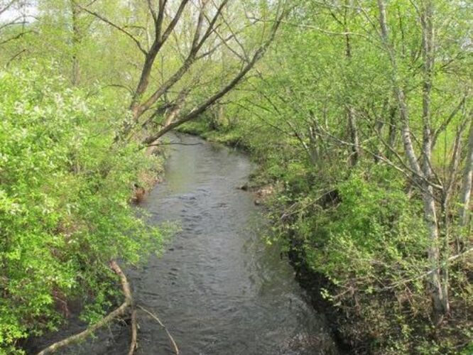 Maakond: Pärnumaa Veekogu nimi: Lähkma jõgi Pildistamise aeg: 15. mai 2012 Pildistaja: H. Timm Pildistamise koht: alamjooks Asimuut: