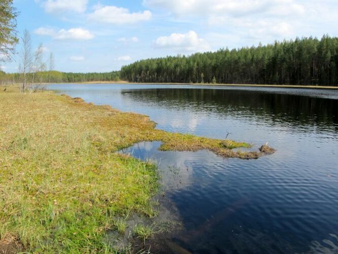 Maakond: Põlvamaa Veekogu nimi: Laho järv Pildistamise aeg: 5. mai 2012 Pildistaja: H. Timm Pildistamise koht: teadmata Asimuut: