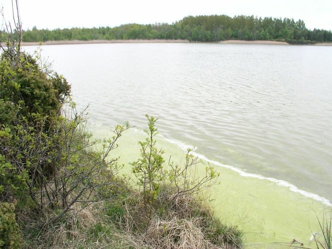 Maakond: Saaremaa Veekogu nimi: Lahukse järv Pildistamise aeg: 29. mai 2006 Pildistaja: H. Timm Pildistamise koht: teadmata Asimuut: