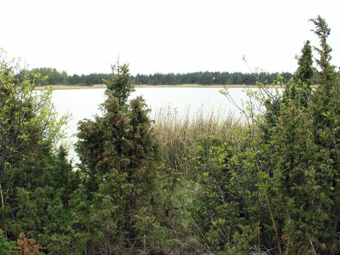 Maakond: Saaremaa Veekogu nimi: Lahukse järv Pildistamise aeg: 29. mai 2006 Pildistaja: H. Timm Pildistamise koht: teadmata Asimuut: