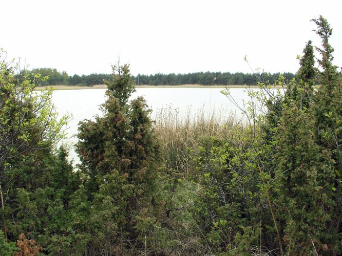 Maakond: Saaremaa Veekogu nimi: Lahukse järv Pildistamise aeg: 29. mai 2006 Pildistaja: H. Timm Pildistamise koht: teadmata Asimuut: