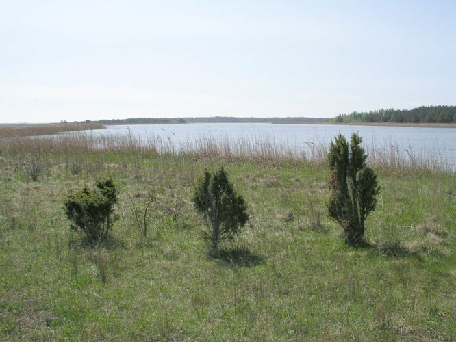 Maakond: Saaremaa Veekogu nimi: Laialepa laht Pildistamise aeg: 27. mai 2003 Pildistaja: H. Timm Pildistamise koht: teadmata Asimuut: