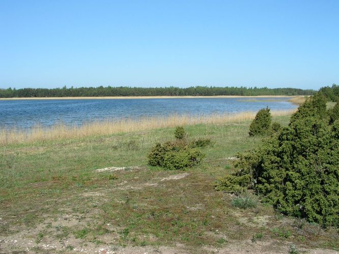 Maakond: Saaremaa Veekogu nimi: Laialepa laht Pildistamise aeg: 27. mai 2003 Pildistaja: H. Timm Pildistamise koht: teadmata Asimuut: