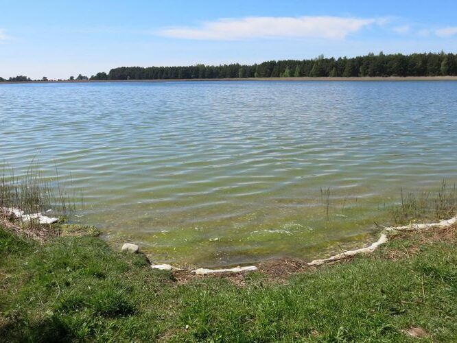 Maakond: Saaremaa Veekogu nimi: Laialepa laht Pildistamise aeg: 22. mai 2014 Pildistaja: H. Timm Pildistamise koht: teadmata Asimuut: