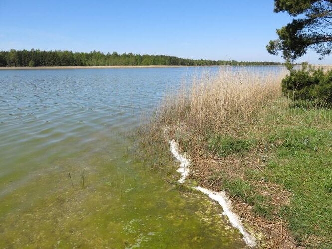 Maakond: Saaremaa Veekogu nimi: Laialepa laht Pildistamise aeg: 22. mai 2014 Pildistaja: H. Timm Pildistamise koht: teadmata Asimuut: