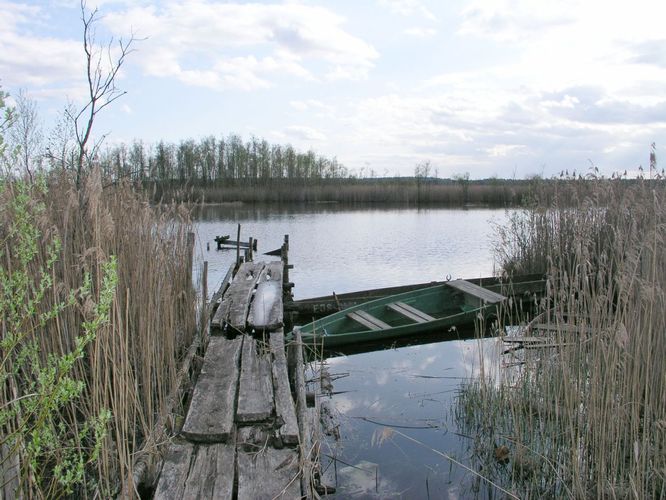 Maakond: Jõgevamaa Veekogu nimi: Laiuse Kivijärv Pildistamise aeg: 19. mai 2003 Pildistaja: H. Timm Pildistamise koht: teadmata Asimuut: