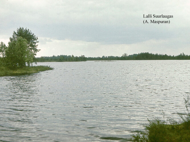 Maakond: Raplamaa Veekogu nimi: Lalli Suurlaugas Pildistamise aeg: teadmata Pildistaja: A. Maspuran Pildistamise koht: teadmata Asimuut: