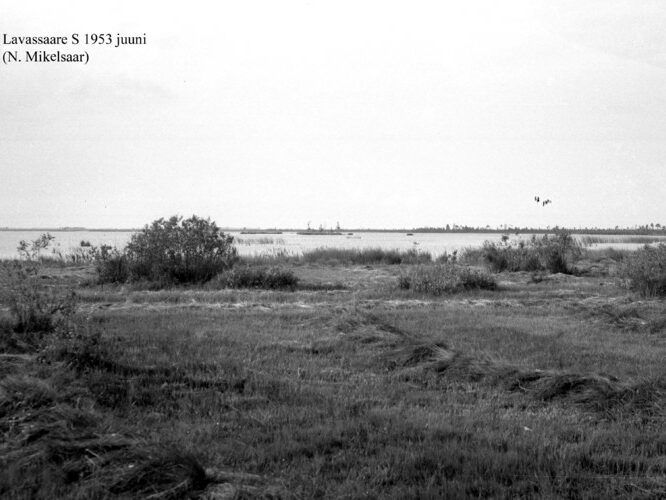 Maakond: Pärnumaa Veekogu nimi: Lavassaare järv Pildistamise aeg: juuni 1953 Pildistaja: N. Mikelsaar Pildistamise koht: S-otsast Asimuut: NNW