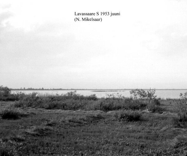 Maakond: Pärnumaa Veekogu nimi: Lavassaare järv Pildistamise aeg: juuni 1953 Pildistaja: N. Mikelsaar Pildistamise koht: S-otsast Asimuut: NNW