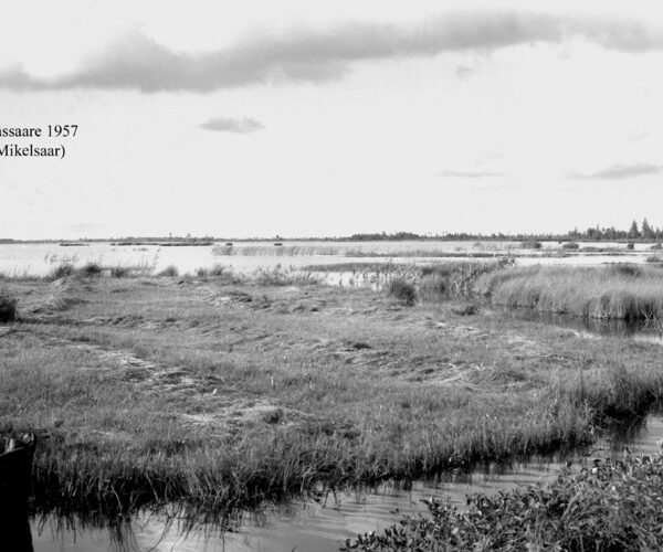 Maakond: Pärnumaa Veekogu nimi: Lavassaare järv Pildistamise aeg: 1957 Pildistaja: N. Mikelsaar Pildistamise koht: S-otsast Asimuut: NNW
