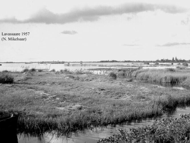 Maakond: Pärnumaa Veekogu nimi: Lavassaare järv Pildistamise aeg: 1957 Pildistaja: N. Mikelsaar Pildistamise koht: S-otsast Asimuut: NNW